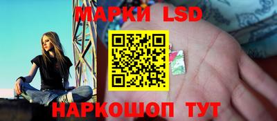 a pvp Ставрополь