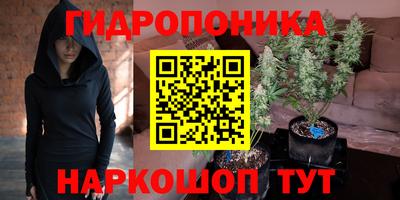 a pvp Ставрополь